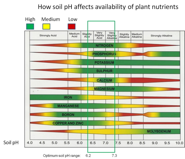 Ph Nutrient Availability Chart